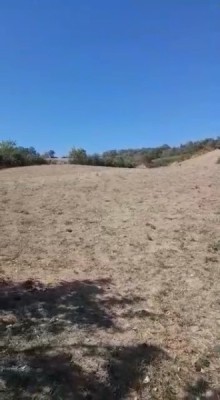 qubada torpaqlarin qiymeti sahesi, -7