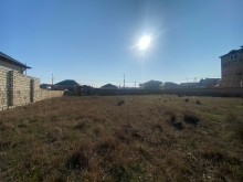 şagan torpaq, -7