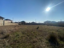 şagan torpaq, -8