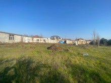 buzovnada bag evleri tikmek ucun torpaqlar, -7