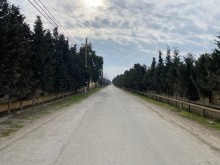 albalılıqda torpaq, -10