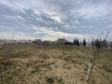 Suvelanda torpaqlarin satisi, -3