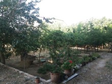 sarayda heyet evleri, -8