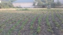ismayıllı torpaq satqısı, -3