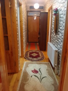 tap az qaracuxurda satilan heyet evleri, -7