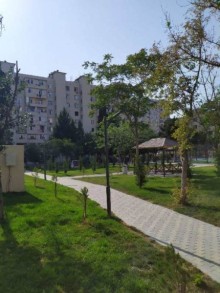 Köhnə tikili almaq, Bakı, Əhmədli q, -12