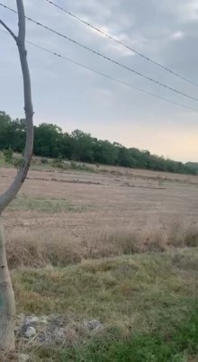Nabran torpaq satisi, -7