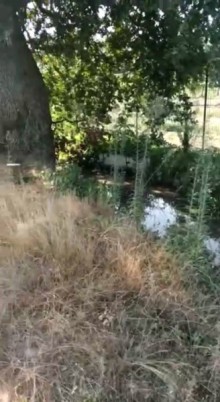 Nabran Tel bulağ kəndində 18 sotluğ bağ almaq, -2