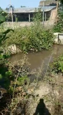 Nabran Tel bulağ kəndində 18 sotluğ bağ almaq, -4