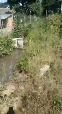 Nabran Tel bulağ kəndində 18 sotluğ bağ almaq, -5