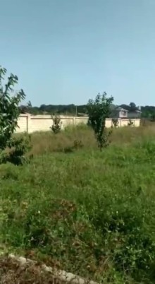 Nabran Tel bulağ kəndində 18 sotluğ bağ almaq, -7