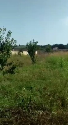 Nabran Tel bulağ kəndində 18 sotluğ bağ almaq, -9