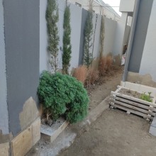 sumqayit xezer baglari heyet evleri, -3