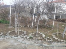 Badamdar 1-ci massivdə 4 sot torpaq sahəsi satılır, -3
