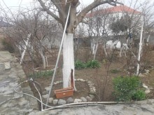 Badamdar 1-ci massivdə 4 sot torpaq sahəsi satılır, -4