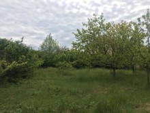 Nabran Maral Göl restoranına çox yaxin ev satilir, -2
