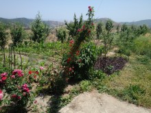 qubada satilan evler dag menzereli, -4