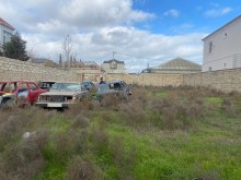 Merdekanda torpaq ucuz qiymete, -5