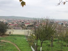 Novxanida heyet evleri alqi satqisi, -20