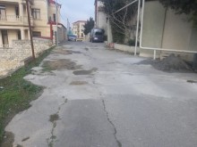 Badamdar toraqlarin satisi, -7