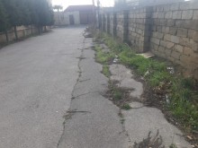 Badamdar toraqlarin satisi, -8