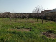 Mehdiabad erazisinde torpaqlarin satisi, -6