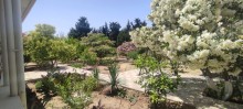 Novxanıda torpaq qiymətinə hovuzlu bağ evi almaq, -16