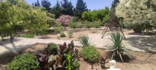 Novxanıda torpaq qiymətinə hovuzlu bağ evi almaq, -17