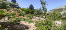 Novxanıda torpaq qiymətinə hovuzlu bağ evi almaq, -19