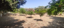 Novxanıda torpaq qiymətinə hovuzlu bağ evi almaq, -20