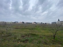 Suvelan Qala yolunda Torpaq Satılır, -3