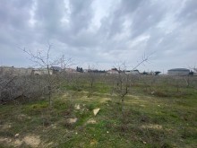 Suvelan Qala yolunda Torpaq Satılır, -8