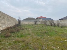 Şüvelan "Haci Movlan" baglarinda torpaq almaq, -1