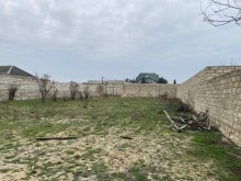 Şüvelan "Haci Movlan" baglarinda torpaq almaq, -2