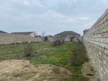 Şüvelan "Haci Movlan" baglarinda torpaq almaq, -5