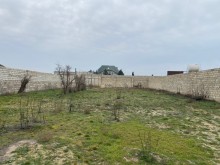 Şüvelan "Haci Movlan" baglarinda torpaq almaq, -7