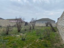 Şüvelan "Haci Movlan" baglarinda torpaq almaq, -8