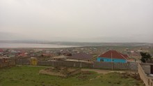 Novxani duz golune yaxin torpaq almaq, -1