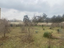 Merdekanda torpaq alqi satqisi, -2