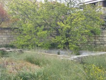 Goradil Fatmai arasinda denize yaxin natamam bag evi, -16