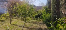 zaqulbada satilan evler, -8