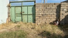 Yaşma bağlarında Quba istiqamətində bag evi, -5