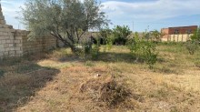 Yaşma bağlarında Quba istiqamətində bag evi, -6