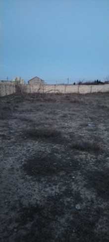 Nardaranda Torpaq almaq, -5