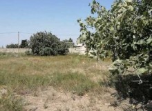 Kurdaxanida Ləhic bağlarında villa tikmək, -1