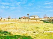 Novxanı bağlar massivinde Torpaq, -7