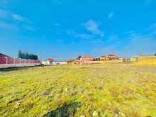 Novxanı bağlar massivinde Torpaq, -10