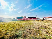 Novxanı bağlar massivinde Torpaq, -11