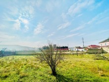 Novxanı bağlar massivinde Torpaq, -12