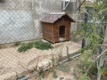 Zabrat - Maştaga yolunda Həyət evi satilir, -11